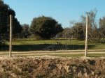 IMG_20130414_184040.jpg