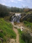 foto0121.jpg