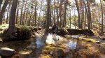 GoPro_12-Camping.jpg