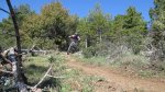 IMG_2806.JPG