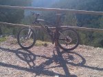 IMG-20130413-00299.jpg