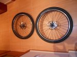 DSCN0520.JPG