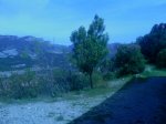 IMG_20130416_142142 (800x600).jpg