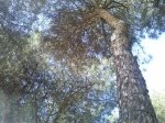CAM00320.jpg