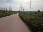 2013-04-16-432_01.JPG