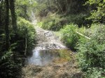 IMG_0451.JPG