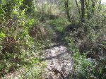 IMG_0452.JPG