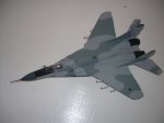 DSCN9096.JPG