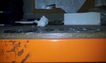 20130417_094753.jpg