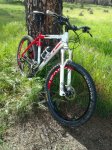 IMG-20130416-WA0002.jpg