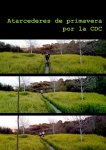 atardeceres de primaverabr.jpg