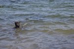 DSC_0448.jpg