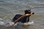 DSC_0474.jpg