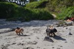 DSC_0492.jpg