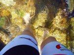Foto11.JPG