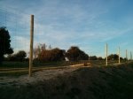 IMG_20130416_203320.jpg