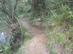 IMG_0029.JPG