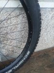 IMG_20130418_134649.jpg