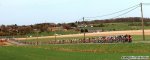 150-PIC360203963.jpg