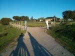IMG_20130418_200544.jpg