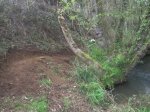 IMG_0041.JPG