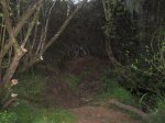 IMG_0043.JPG