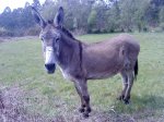 DSC07806.JPG