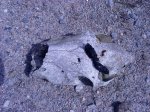 DSC07809.JPG