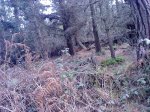 DSC07834.JPG