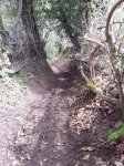 20130413_130622.jpg