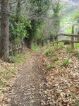 20130413_130723.jpg