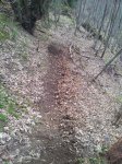 20130416_185851.jpg