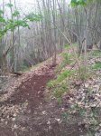 20130416_190119.jpg