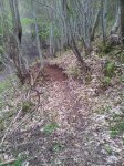 20130416_190224.jpg
