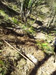 20130417_121304.jpg