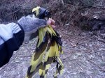 DSC07839.JPG