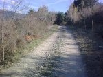 17042013_004.jpg