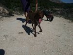 uploadfromtaptalk1366328566112.jpg