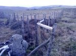 DSC07832.JPG
