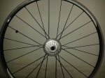 20130411_145112.jpg