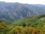 DSC04357.JPG