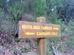 DSC04297.JPG