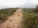 IMG-20130419-WA0004_800x600.jpg