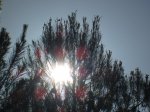 IMG_1270.JPG