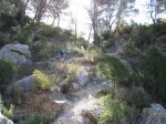 IMG_1294.JPG