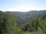 IMG_1333.JPG
