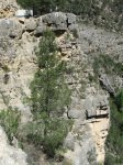 IMG_1347.JPG
