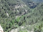 IMG_1352.JPG