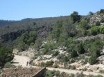 IMG_1400.JPG