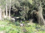 DSC03759.JPG